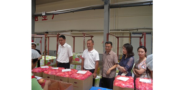 《綠色食品品質(zhì)、營(yíng)業(yè)功能評(píng)價(jià)標(biāo)準(zhǔn)課題》調(diào)研在棲霞德豐開(kāi)展