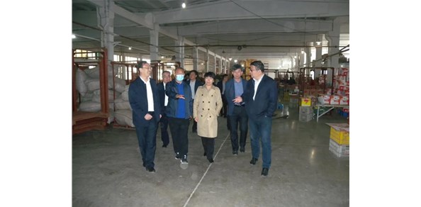 省農(nóng)業(yè)農(nóng)村廳、財(cái)政廳來(lái)?xiàng)綄?dǎo)煙臺(tái)蘋果產(chǎn)業(yè)集群建設(shè)工作