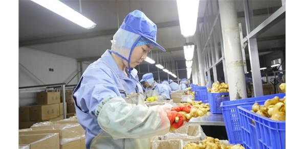 國(guó)貿(mào)基地穩(wěn)步發(fā)展，出口帶富效應(yīng)明顯